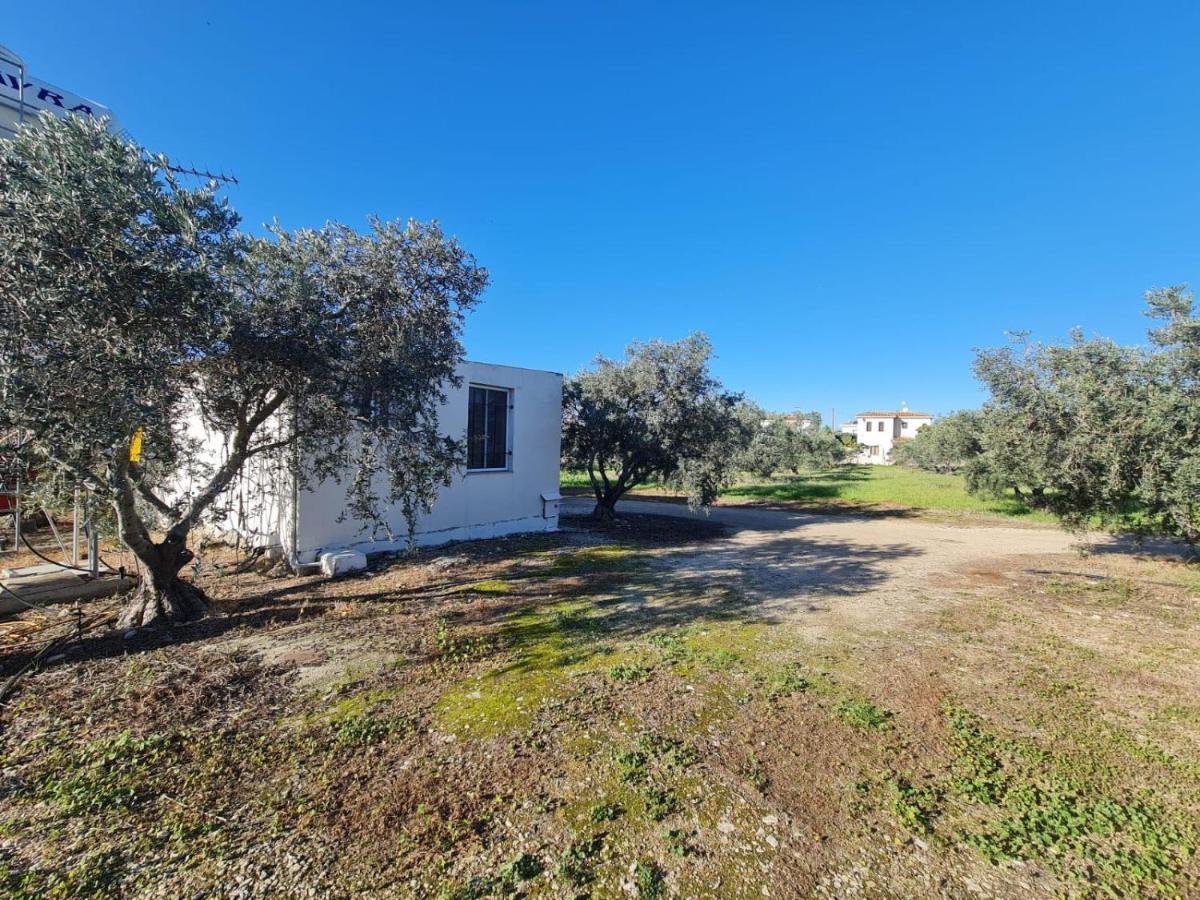 Spacious Studio In Yeroskipou Koloni Exterior photo
